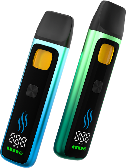 YT-031 product views